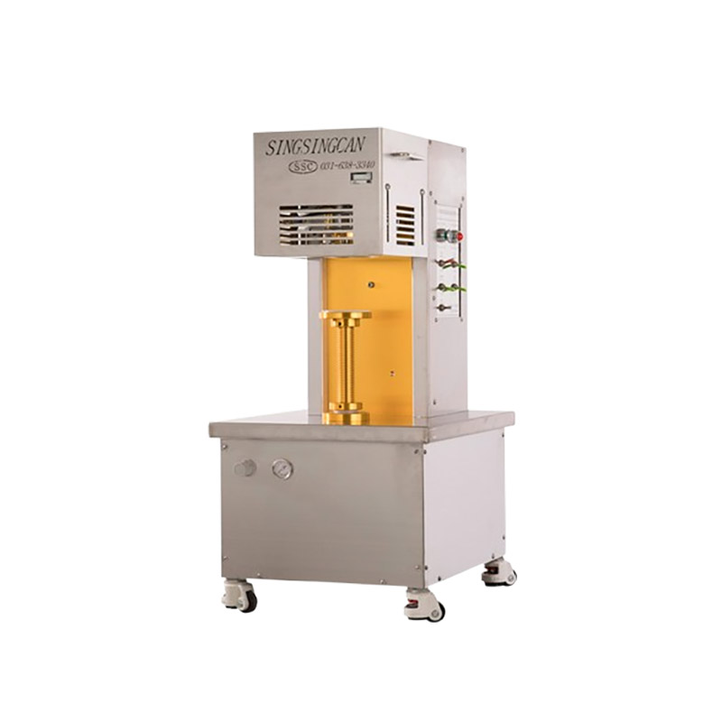 SSD-301